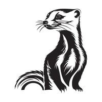 Mongoose Animal Standing On A White Background vector