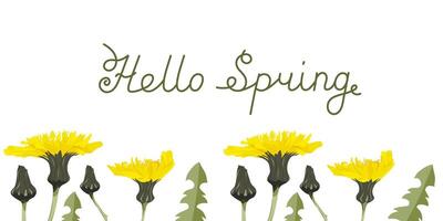 Vector banner with blooming dandelion. Spring greeting card concept in horizontal layout. Floral card with spring meadow flowers.