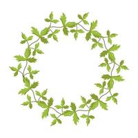 Template for a postcard. Green circle of leaves and branches. Template for the inscription. vector