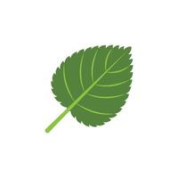 Green leaf logo vector element symbol template