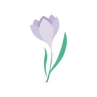 hand drawn cute spring snowdrop flower vector