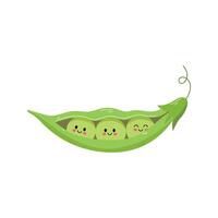 hand drawn cute bean illustration vector