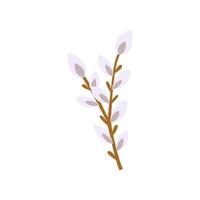 hand drawn cute easter willow sprig vector