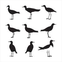 A black silhouette Gull bird set vector