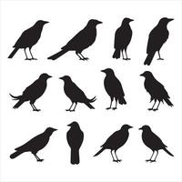 A black silhouette crow bird set vector