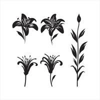 A black silhouette Lily flower set vector