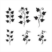 A black silhouette Ivy flower set vector