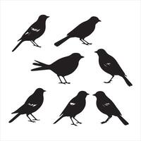 un negro silueta arrendajo pájaro conjunto vector