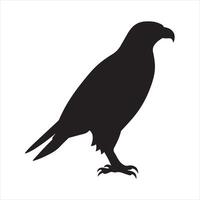 A black silhouette Hawk bird set vector