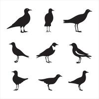 A black silhouette Gull bird set vector