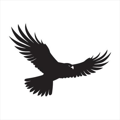 A black silhouette Hawk bird set