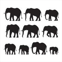 un negro silueta elefante conjunto vector