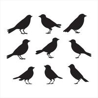 A black silhouette Finch bird set vector