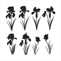 un negro silueta iris flor conjunto vector