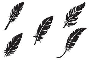 Bird Feather Vector outline vector on white background illustration