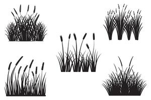 Set Of Silhouettes Grass Outline Vector Illustration On White Background