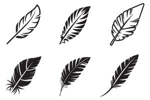 Feather Hand Drawn Set Vector On White Background