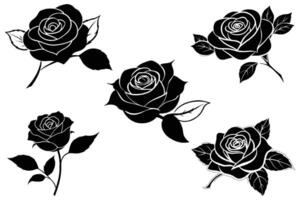 Beautiful Black Rose Vector On White Background