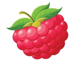 Red testy Raspberry vector illustration