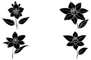 Set of hand drawing vanilla flowers on a white background Vector illustration