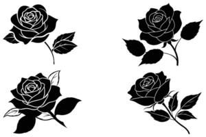 Beautiful Black Rose Vector On White Background