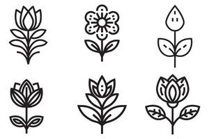 Flower With Leaf Elements Set Outline Vector Illustration On White Background