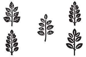 Plants Black Hand Drawn Set Vector On White Background