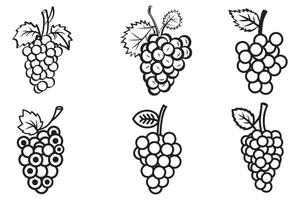 Grape Hand Drawn Set Vector On White Background