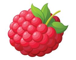 Red testy Raspberry vector illustration