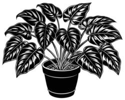 Beautiful foliage plants on a white background Vector illustration