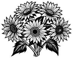 Black and white sketch of sunflowers Vector illustration