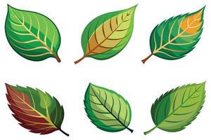 Leaf stock set vector design illustration