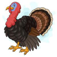 Cartoon turkey on white background vector