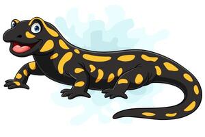 Cartoon salamander lizard on white background vector