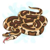 Cartoon burmese python on white background vector