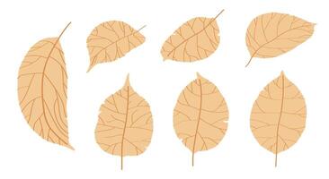 doodle apple tree leaves isolated on white background. Autumn fallen leaves of apple tree. Harvesting. Vector