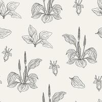Natural seamless pattern with flowering plantains. Medicinal herbaceous plant with flowers and leaves hand drawn with contour lines. Monochrome vector illustration for textile print, wrapping paper.