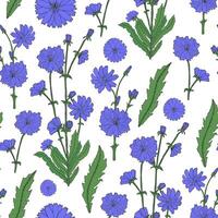 Elegant floral seamless pattern with detailed blooming purple chicory flowers hand drawn in retro style. Beautiful flowering medicinal herb. Natural vector illustration for fabric print, wallpaper.