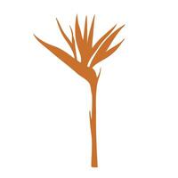 Tropical vector silhouette of Bird of Paradise Flower illustration on isolated background. Beautiful botanical Strelitzia reginae hand painted linear exotic frangipani. For designers, spa decoration
