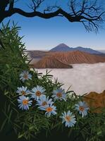 Bromo mountain volcano vector for background design.