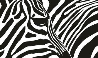 Zebra pattern shape vector in black white for background design