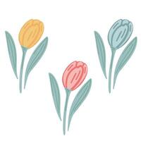 tulipanes primavera plano diseño conjunto vector