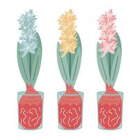 Flat design set of hyacinth blue red and yellow vector