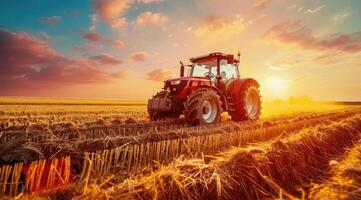 AI generated Golden wheat field under beautiful sunset sky photo