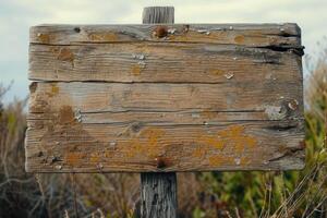 AI generated Old wooden sign in nature photo