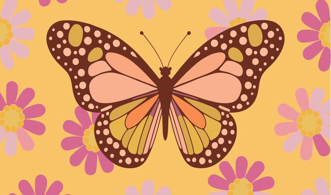 Hand drawn butterfly illustration