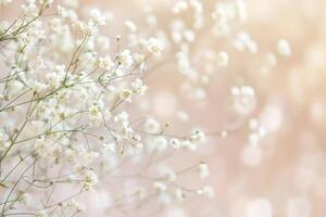 AI generated Background with tiny white flowers. photo