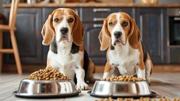 ai generado dos beagles perros sentado con un plato de seco alimento. foto