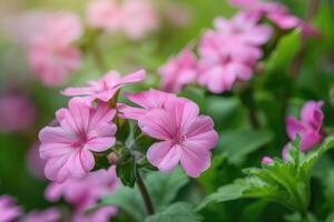 AI generated Pink flowers among the greenery in the park. photo