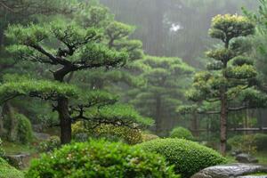 ai generado japonés jardín pino arboles en primavera lluvia. foto